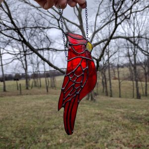 Big Translucent Cardinal