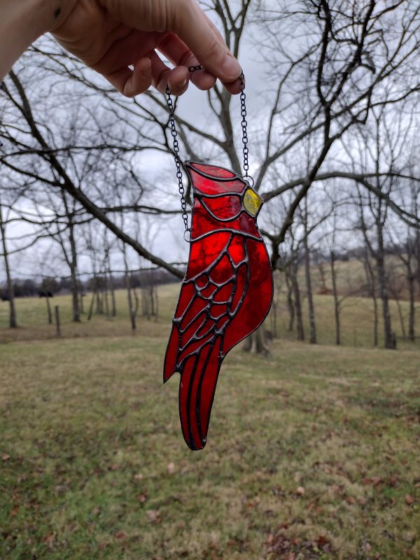 Big Translucent Cardinal