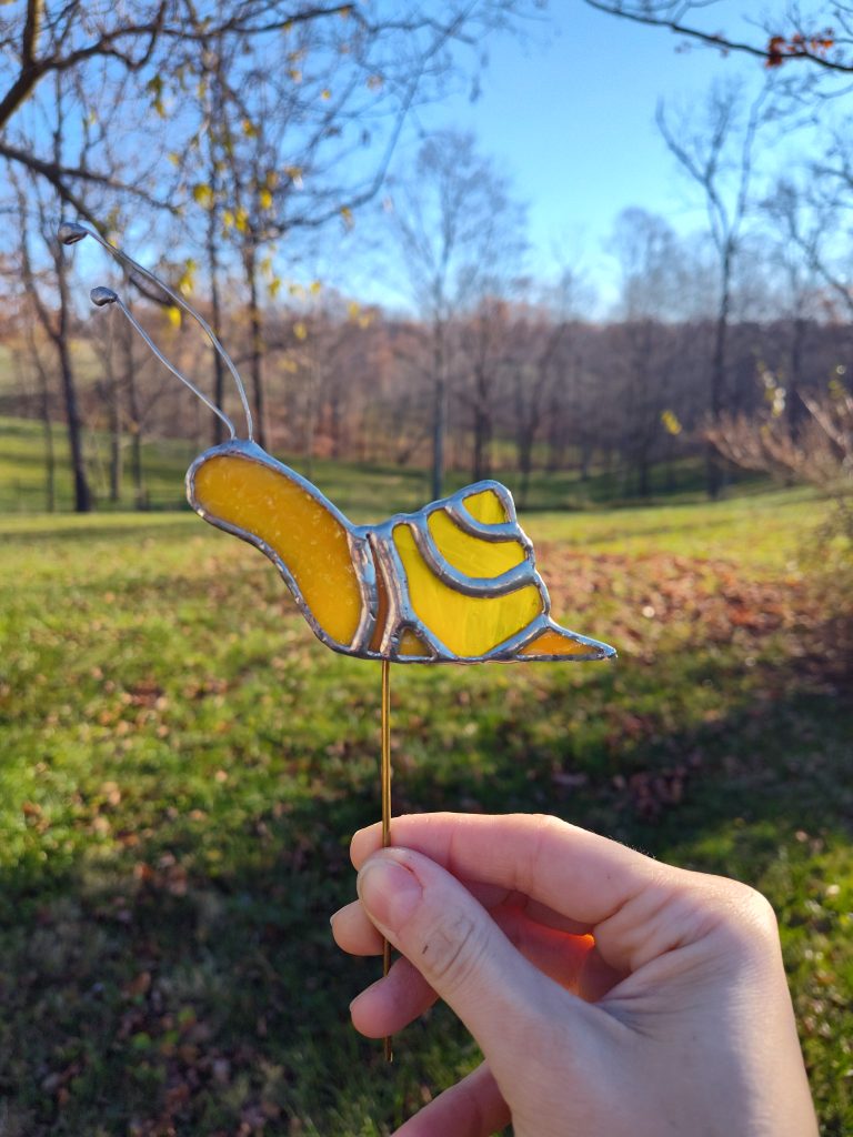 Orange and Yellow Snail