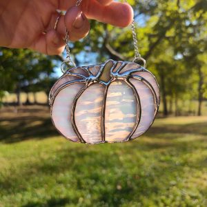 Small Squashed Iridescent Pumpkin