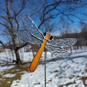 Orange Dragonfly