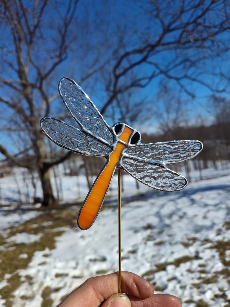 Orange Dragonfly